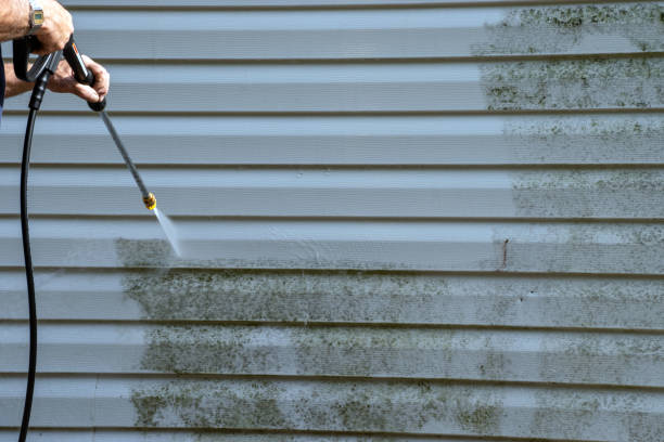 Best Basement Cleanout  in Riva, MD