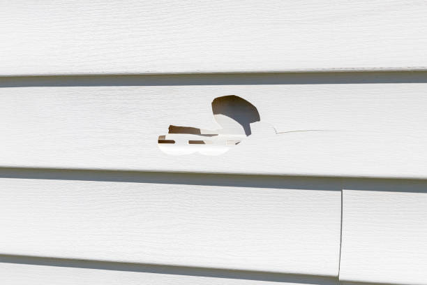 Best Construction Debris Removal  in Riva, MD